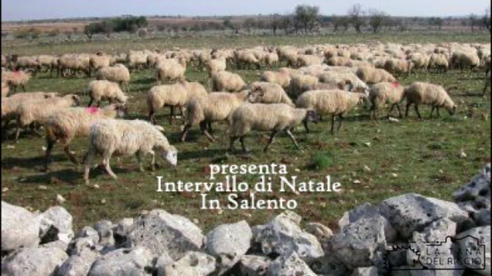 intervallo di natale